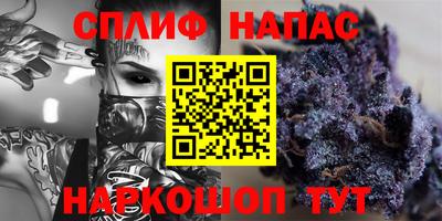 a pvp Бердск