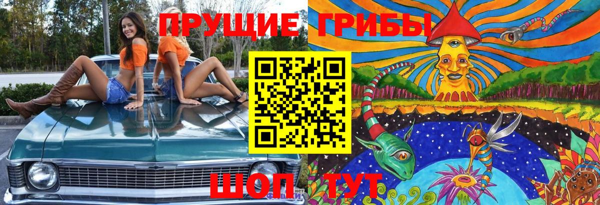 Псилоцибиновые грибы мицелий  где купить наркоту  Верхняя Пышма  Вход с VPN 